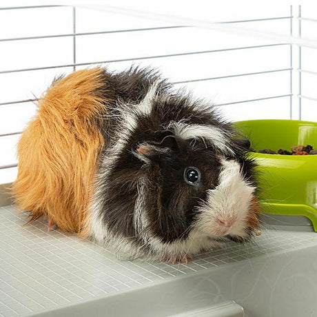 V4H9829E78EC95F1D4A190129727C3E2AD7R4948313P5