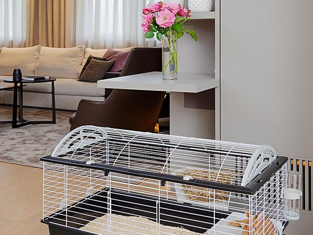 V8HDBA6B63A0E72311494AD11A683BFF38FR6427081P3