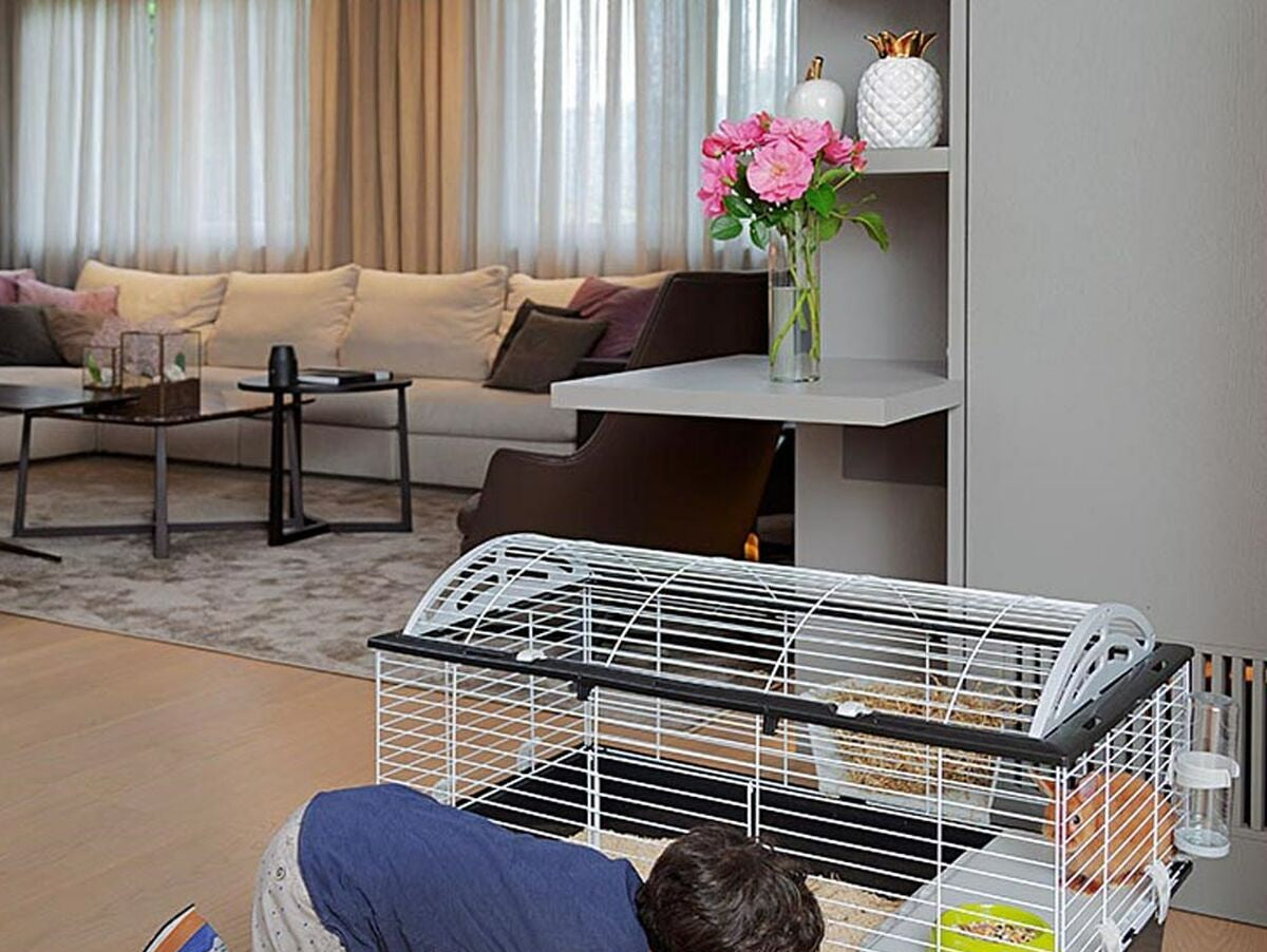 V8HE72A3D6A592586F10B81669FE0F92EC6R6427082P4