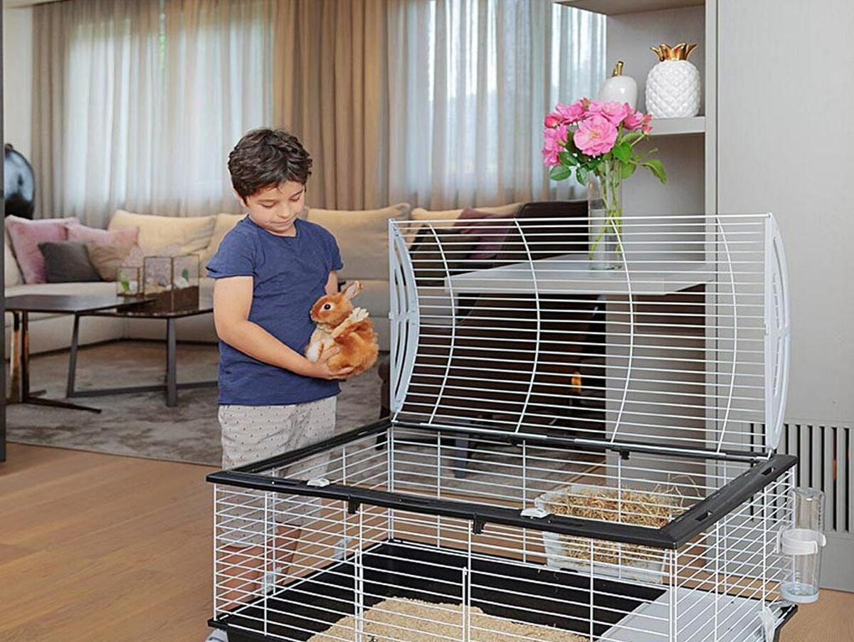 V8H9DAF8B3B0E08C00F255BFC5A249AD9C2R6427084P5