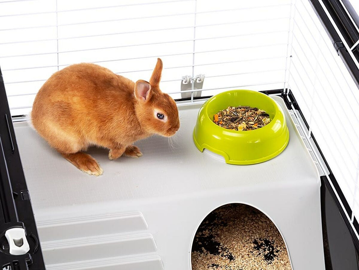 V8H285747673E5568FC33A7564C589064AAR6427087P7