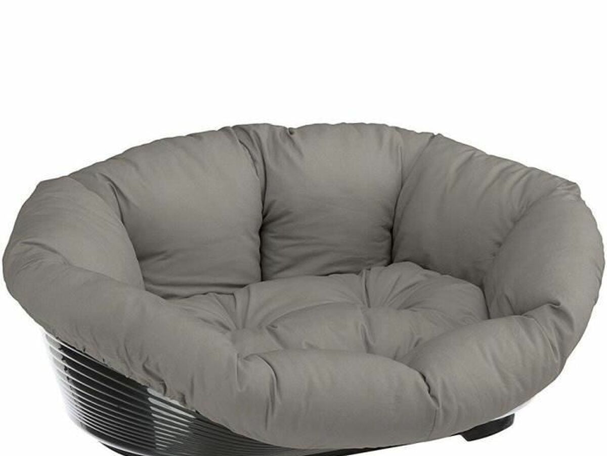 V6H2CC7C6BBB3DFD855BC803B8D8AEB62B9R6689571P1