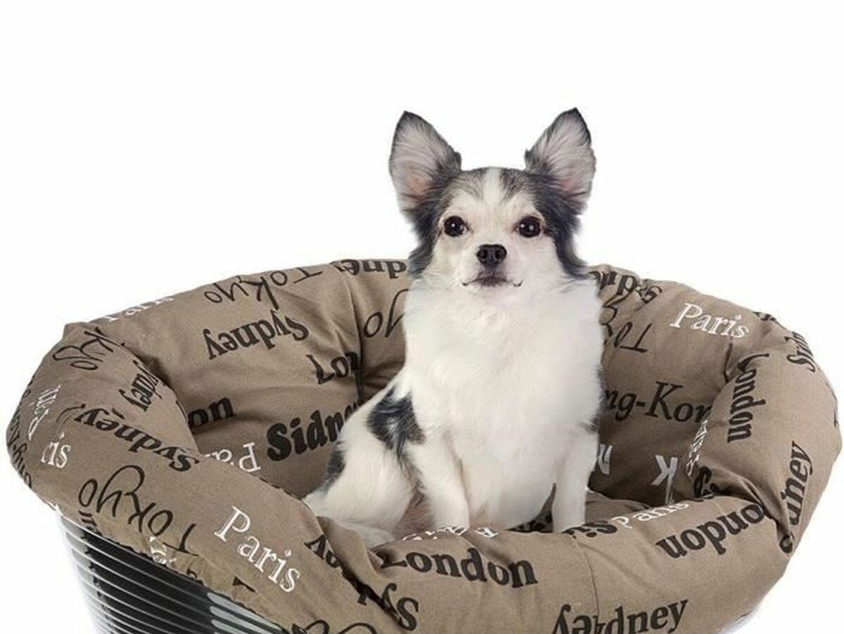 V6H3A0E93D0149536884080E2CB8EFBE70CR6748496P6