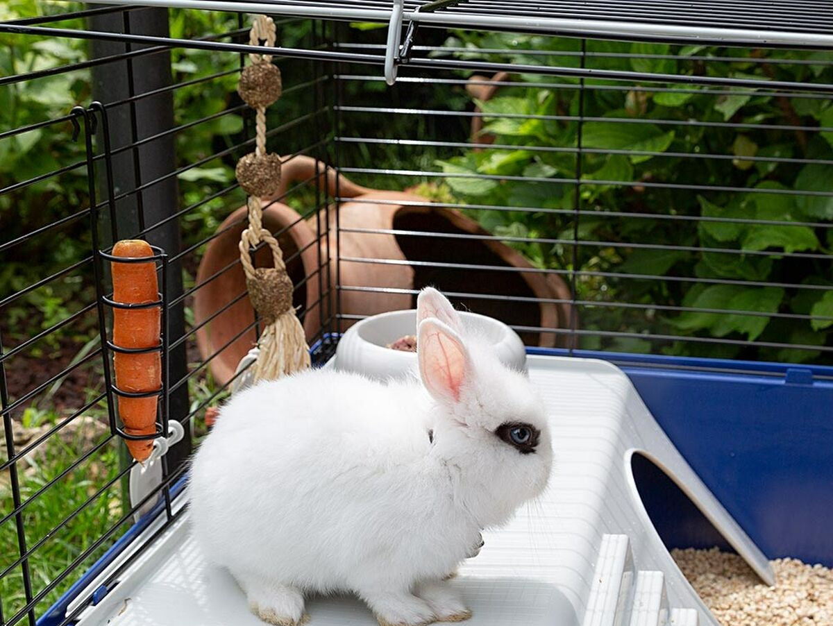 V8H83510315932C22D297B633AE42405831R6739104P5