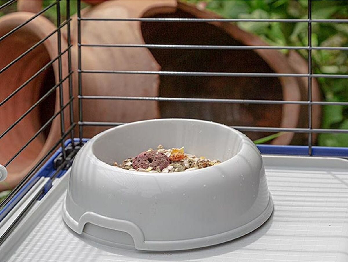 V8H5A94319CAF07E7B852FA5C83330E6125R6739106P6