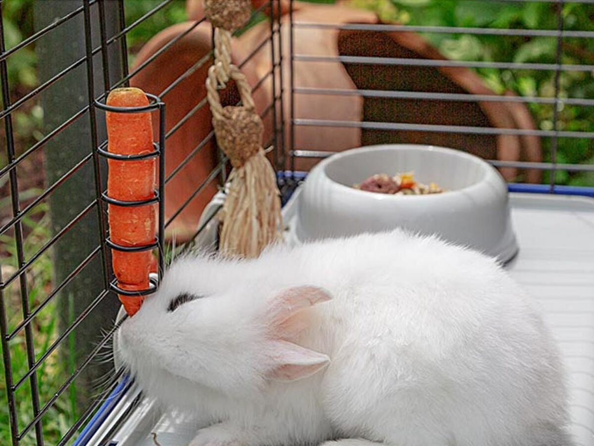 V8H3B84513A1DAD68DBDA122A465CE65FE1R6739110P7