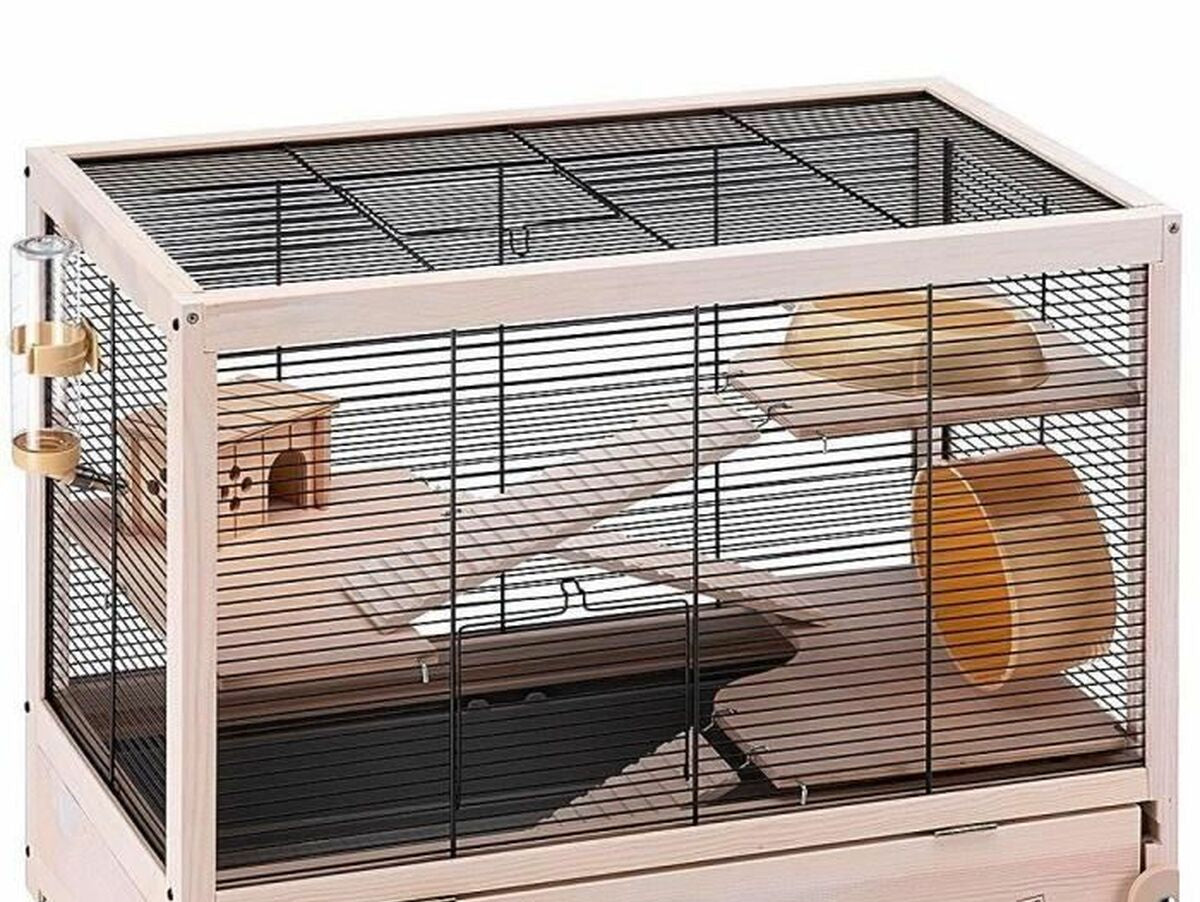 V4HA2FFC9A38AE98A6449E742093105A807R5780704P1