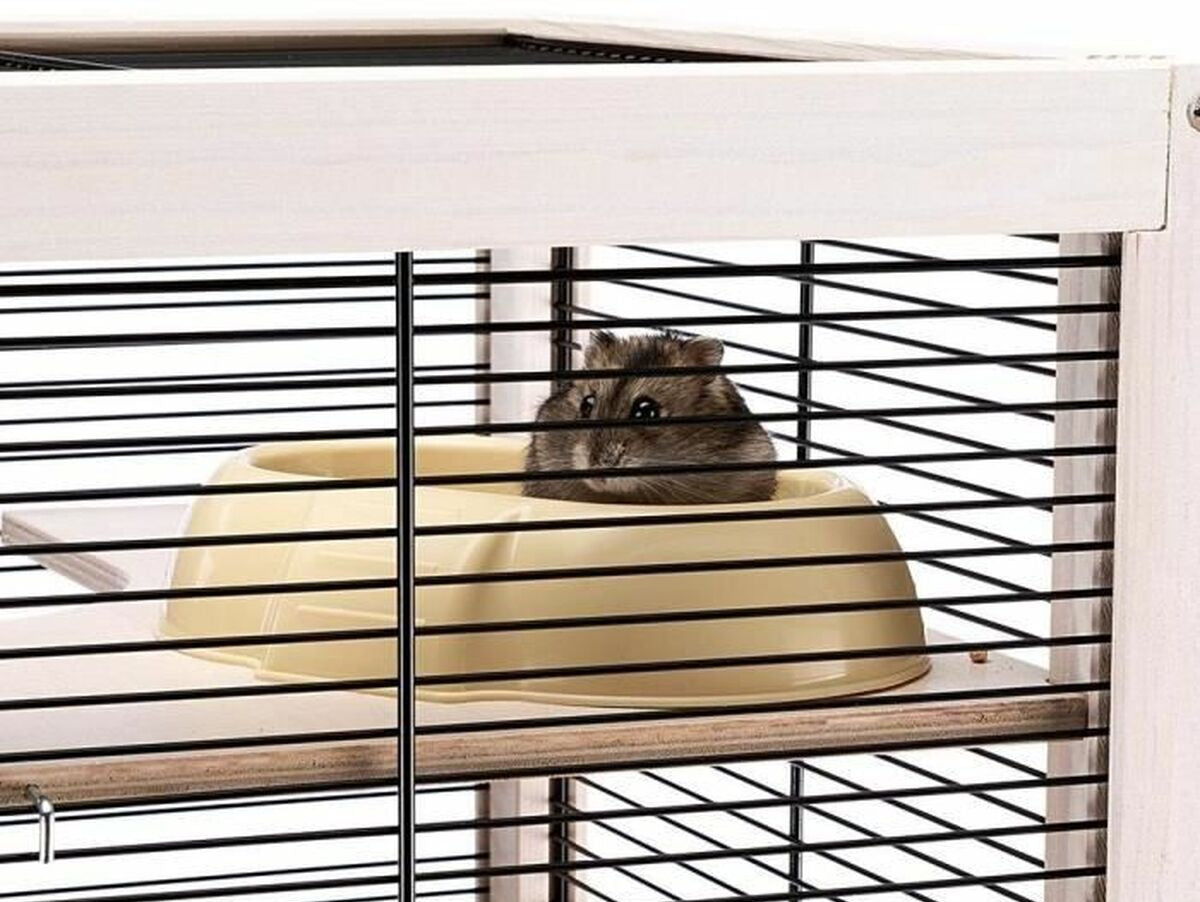 V4HE879FE75CEA7715E05FF997D9AF9F138R5780709P3