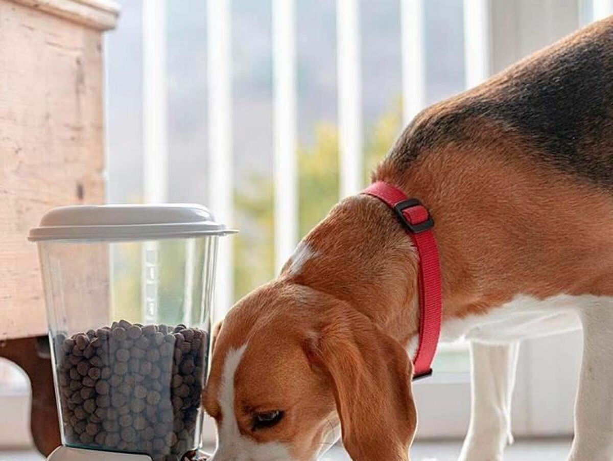 V13H6F77B0FAF40A574E86E21541EB0380C8R6689240P4