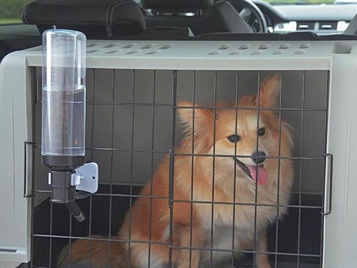 V3HF9C355C2266B825D7DCC569554BFE981R5780393P4