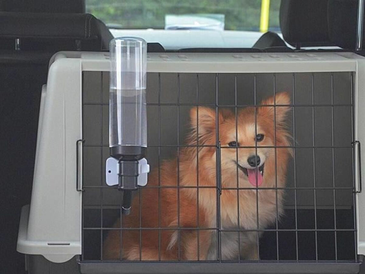 V3H71A423558106B2D64EDB22D657CB700FR5780399P6