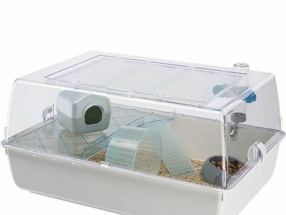 V8H8BE3EAEE80D6C6C245451B5FF0F6403DR3623015P1