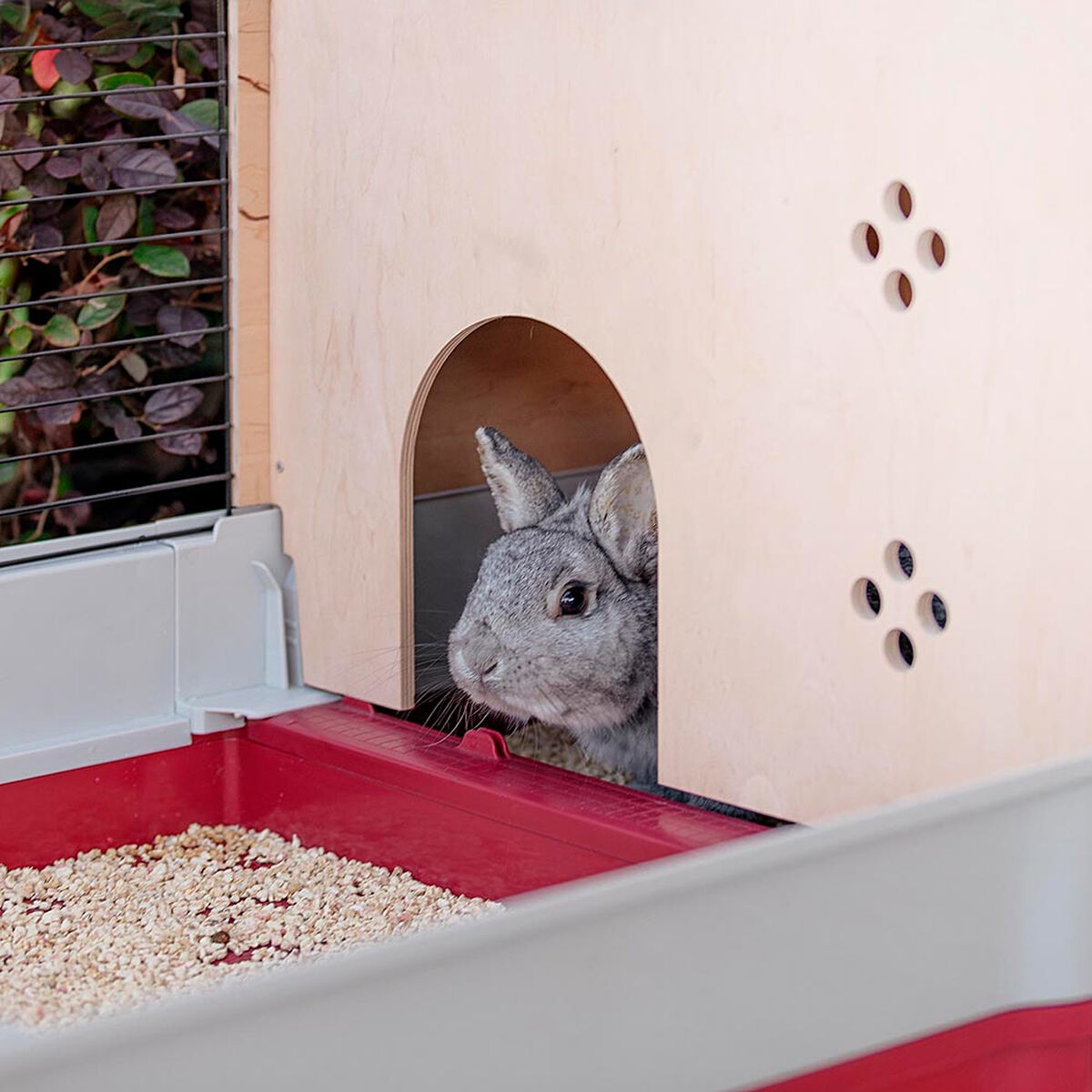 V9HBF97812CC8FD67E96CED3D10CD15ECD7R6404045P9