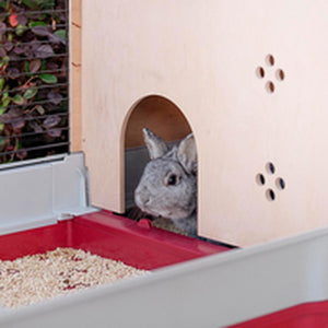 V7HF7C7A093245A8A1436EA03C2346EFD7AR6404047P10