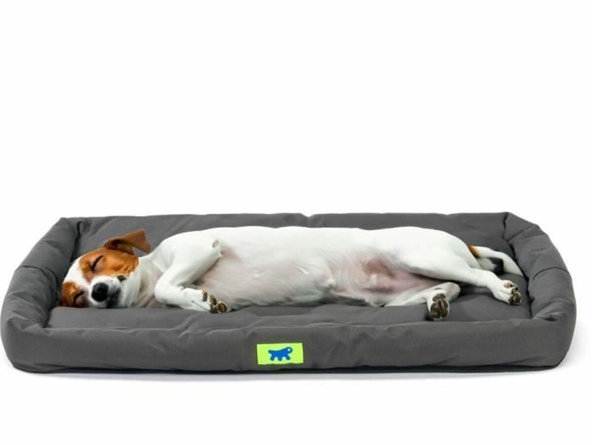 V5H1485027E5B3F7C0497A9EE29644B39DFR5780311P3