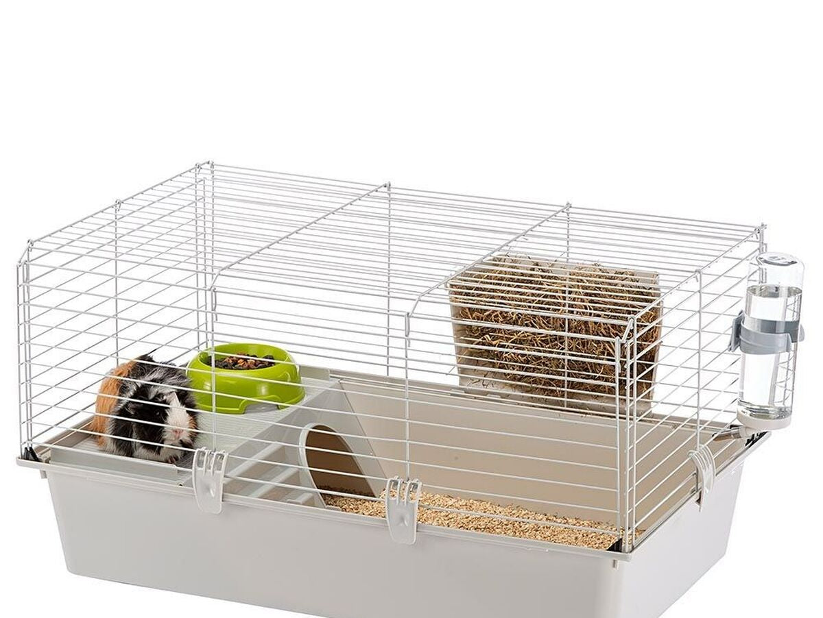 V8H569D116C1522B8DDE27970581743526CR7022741P2