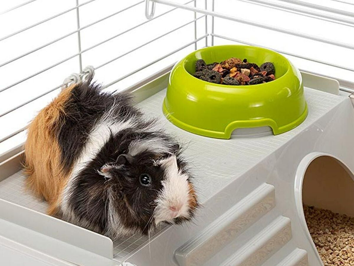 V8H0213FCE99BD8670582166994312291E4R7022744P4