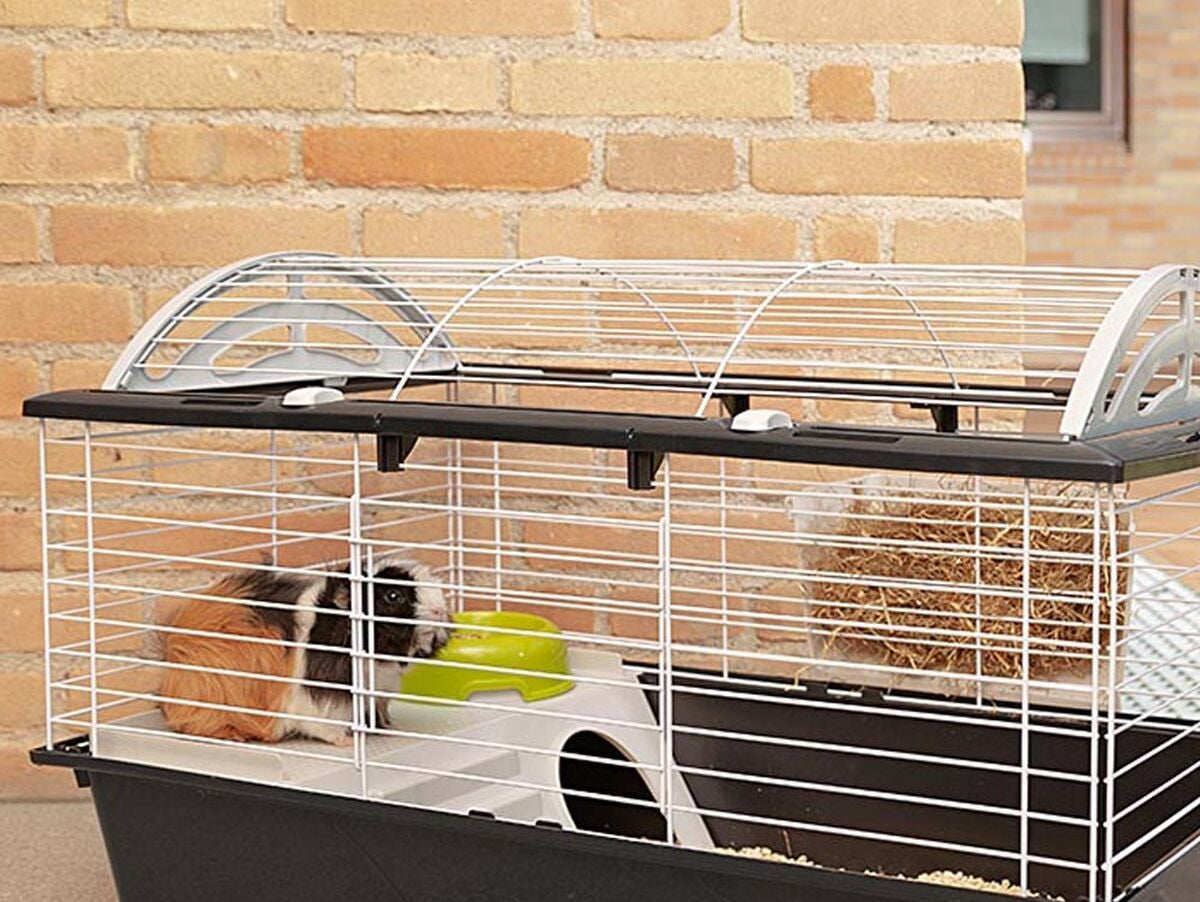 V10HB9E619BD0E5262FA3F3627867799557BR6408321P4