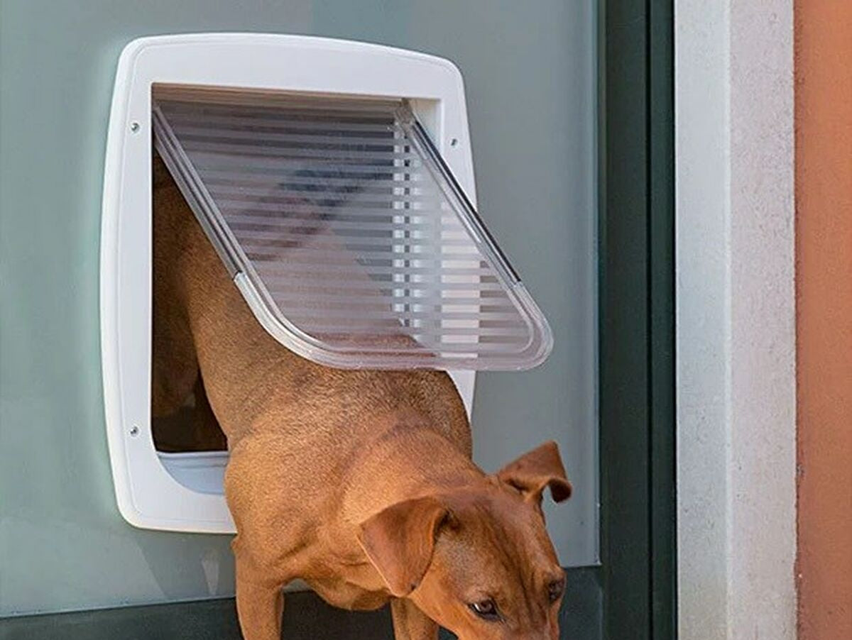 V6H5BB673E073E01E57C9E413345A04AF55R4433867P5