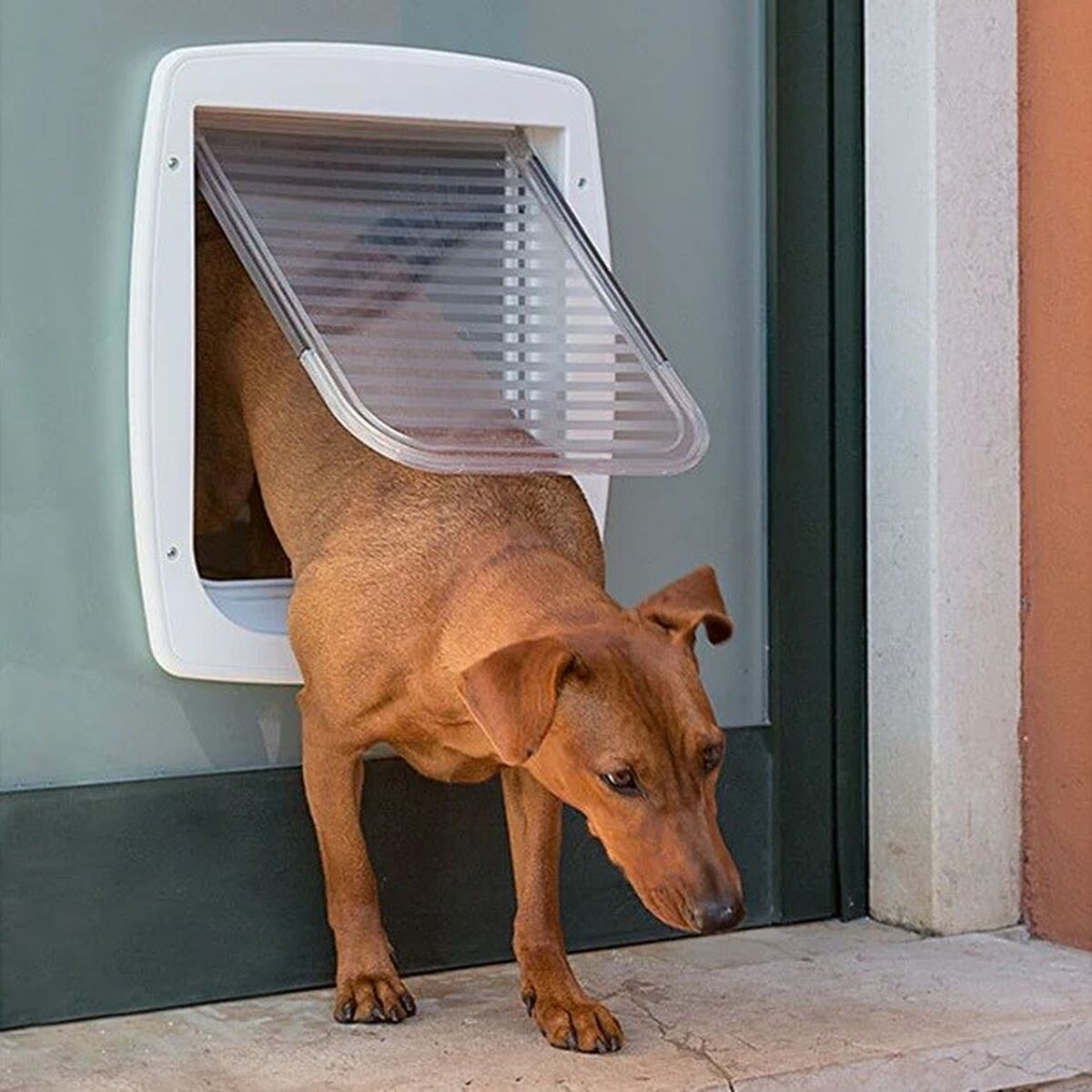 V6H5BB673E073E01E57C9E413345A04AF55R4433867P5