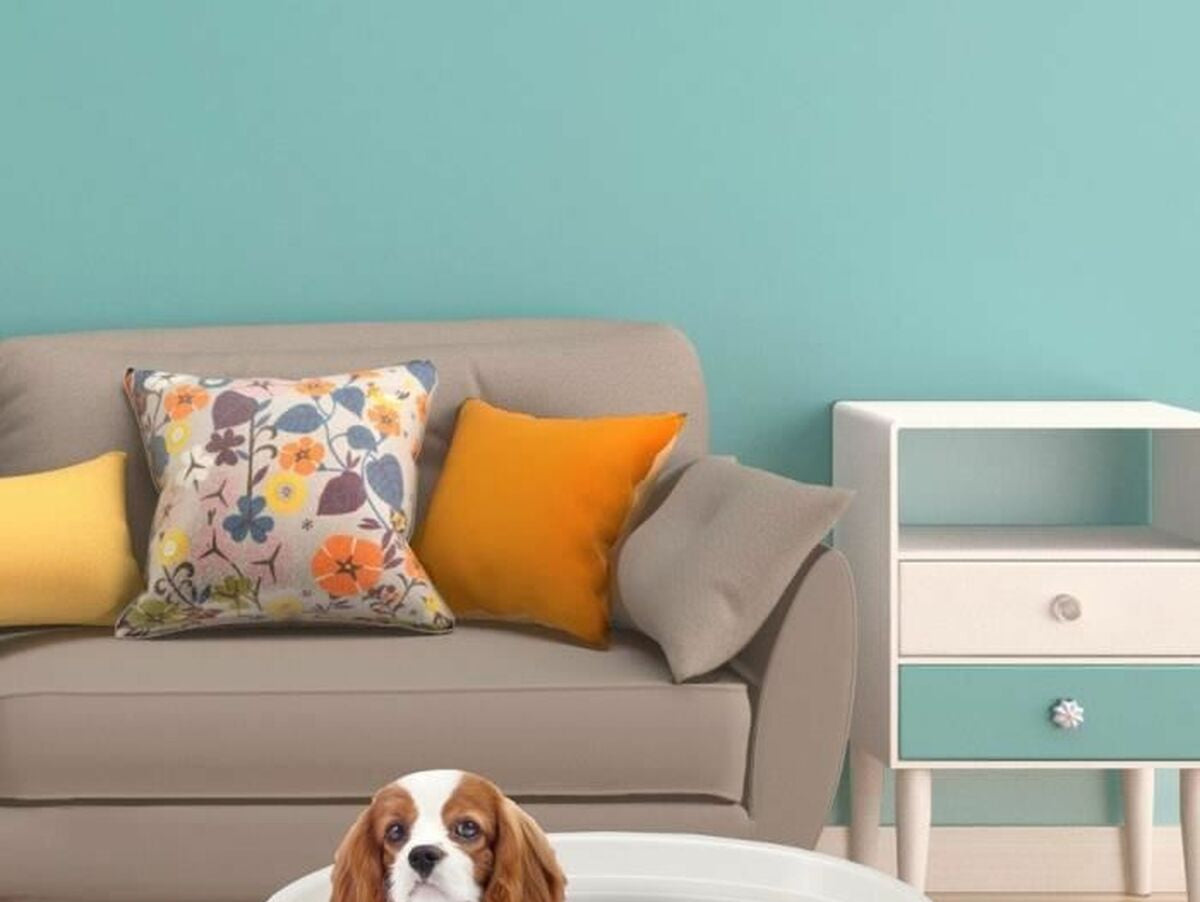 V4H77890D8FBD8776188F529387C8EC00B6R6237280P3