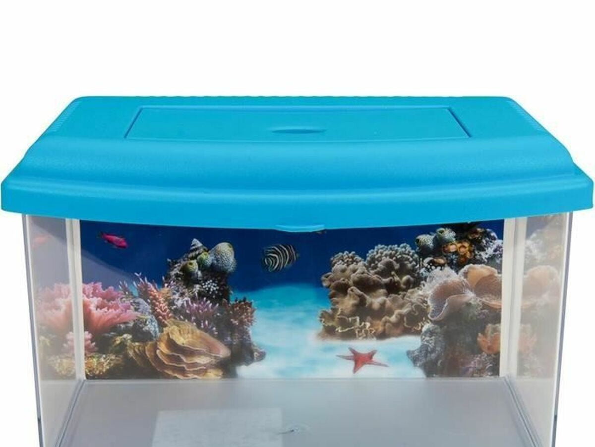 V3H07D8E1295B0B00196894AE1A7A16F26ER5779131P1