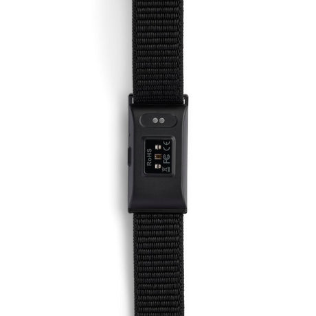 V4H6C58164B5118CE6E4FAFFFA89915D4C1R7477288P2