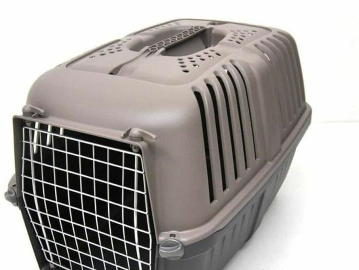 V9H4C1EF7FE49296CB9244A5988B9961662R7382727P3