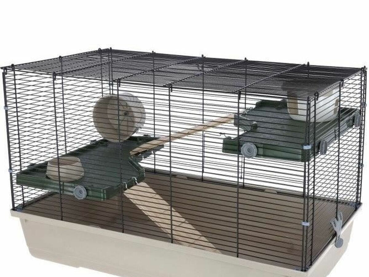 V6H428A892A40A02E9F11D3EEE57139C645R5568321P1