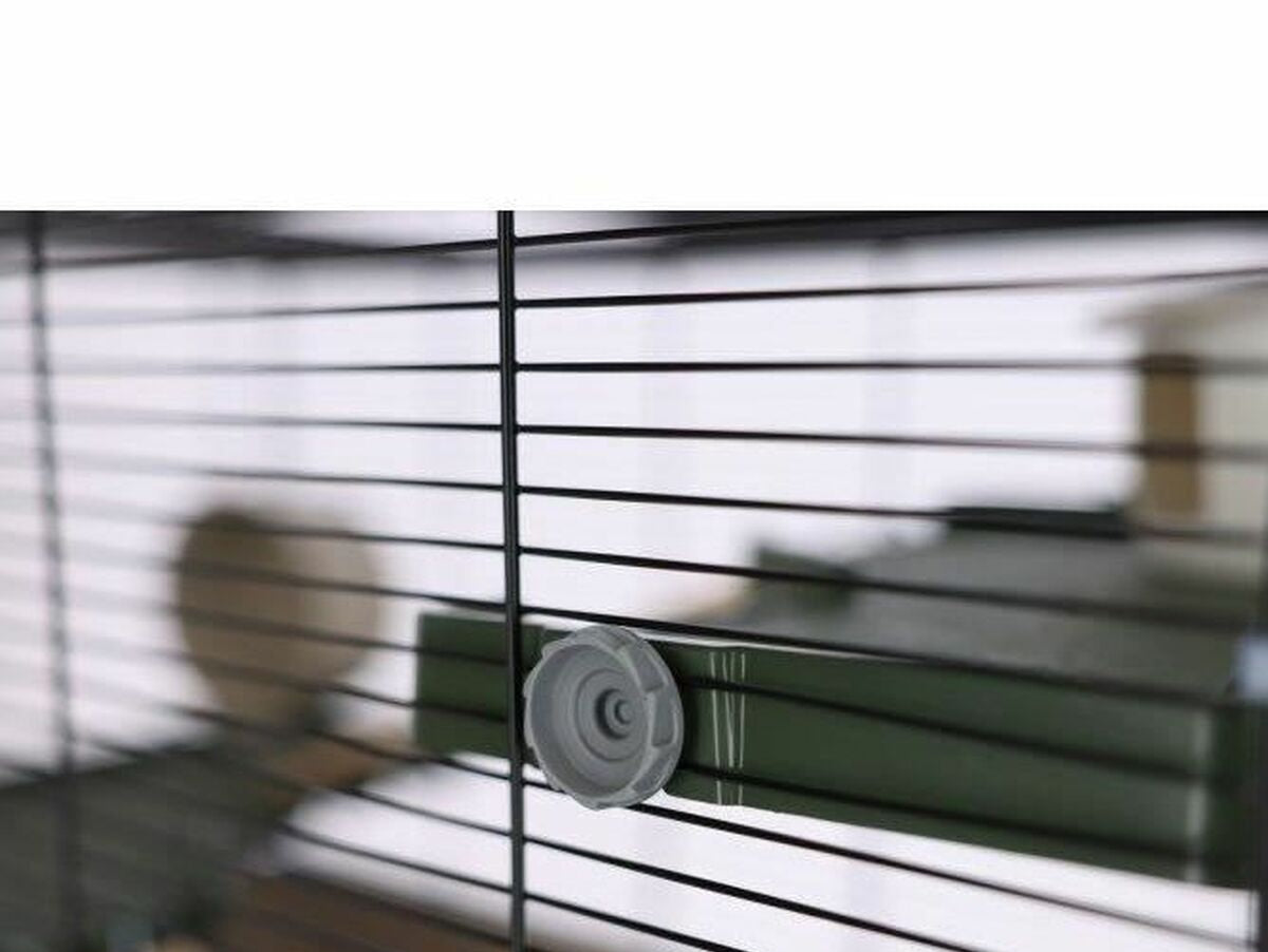 V6H81C8A2BD9F707F0FBAED57EB72DE2974R5568329P4