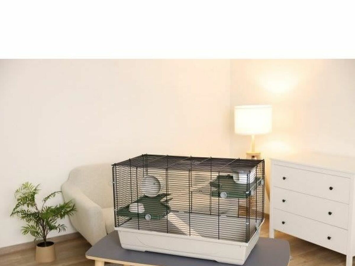 V6H5A18616D5C9A2F6330649E06FA57C8D0R5568335P6