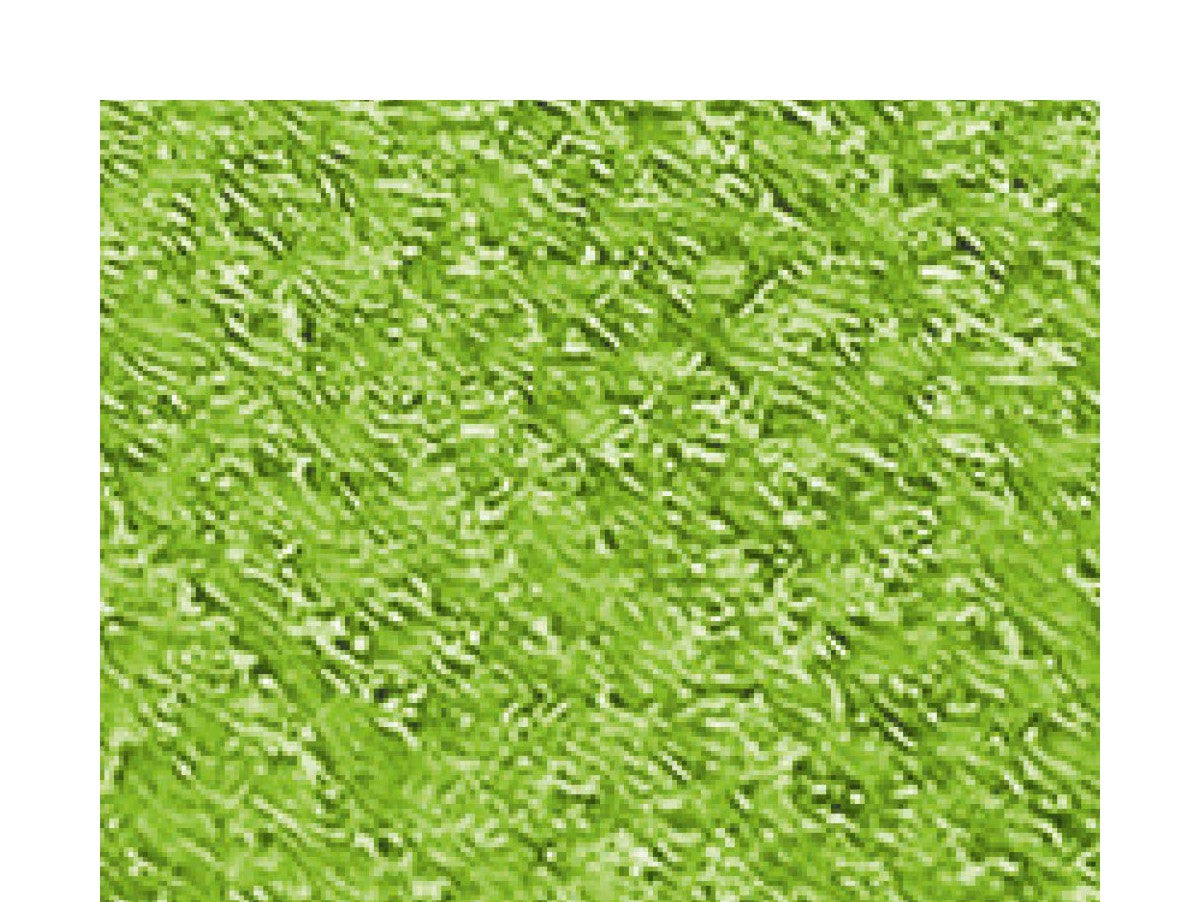 V12HFBEFF79E8B2FF06B51D7E75947FD39F4R5320284P6