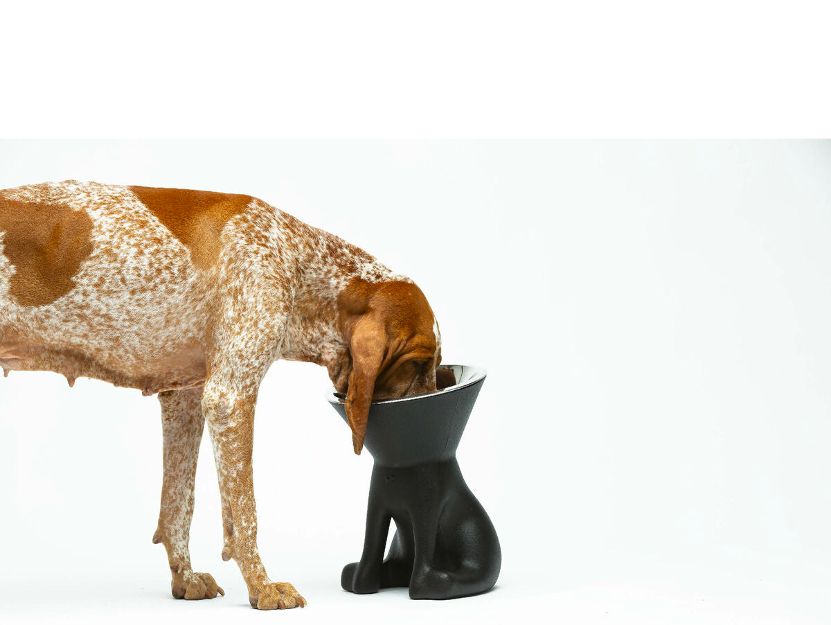 V5HFB260A8BF788F7D70D0ED332E9185FFAR5582529P5