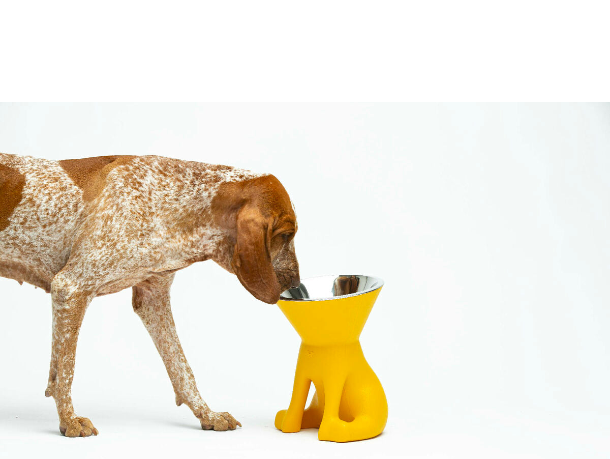 V5H1443B15535B88E4BD634CF60B97ABFEER5658911P5