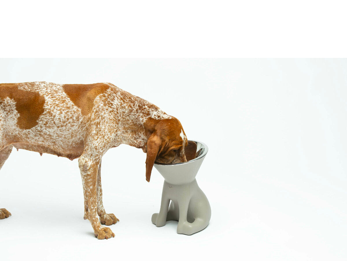 V5H6123C8030A5A83DF52864AA57F09A416R5582523P3