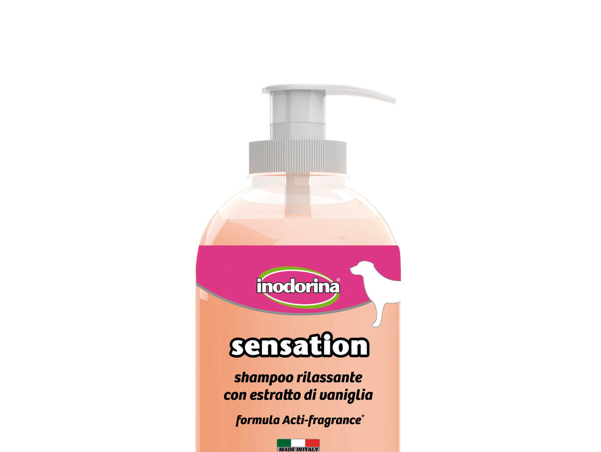 V6H855F5F11F3A4EBED13FFECEDF6179021R4386701P1