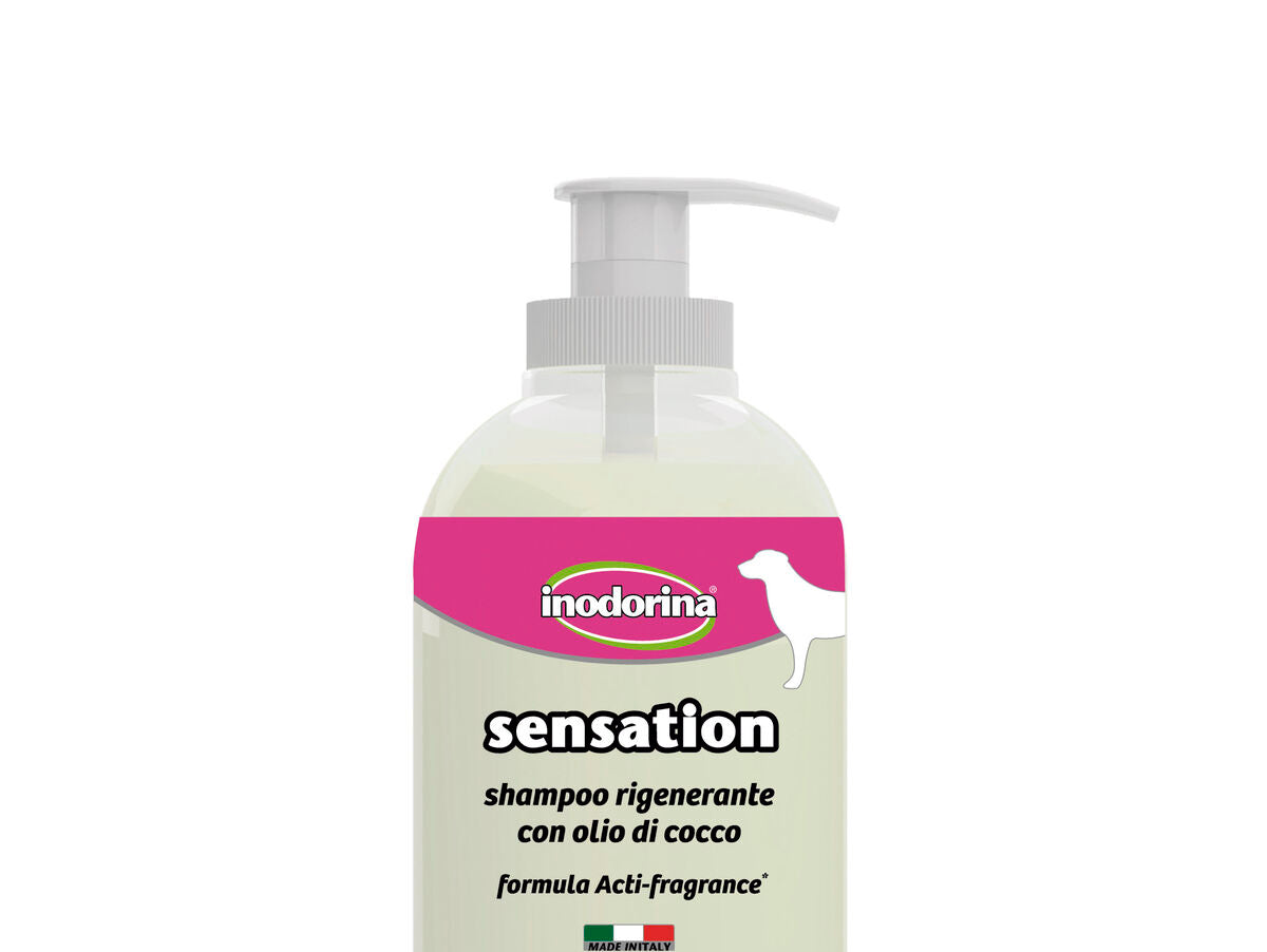 V6HBF03E626125D338AE46F6B4ED900F86FR4386704P1