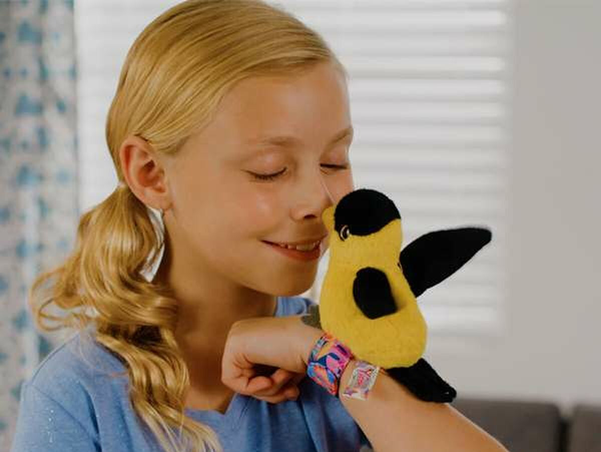 V4H6E0E013662F6AB4796CE16F7B76D3015R7170117P3