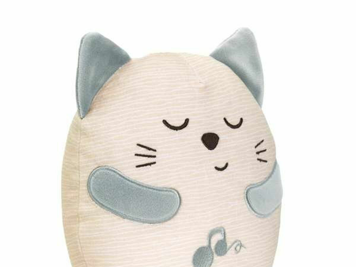 V5H42D6FE943309B7E0E2F65DF06A8A3D1AR5816064P9