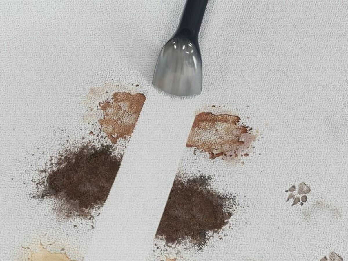 V6H30768A781C4FA94817BD8E700A1D7557R7377317P4