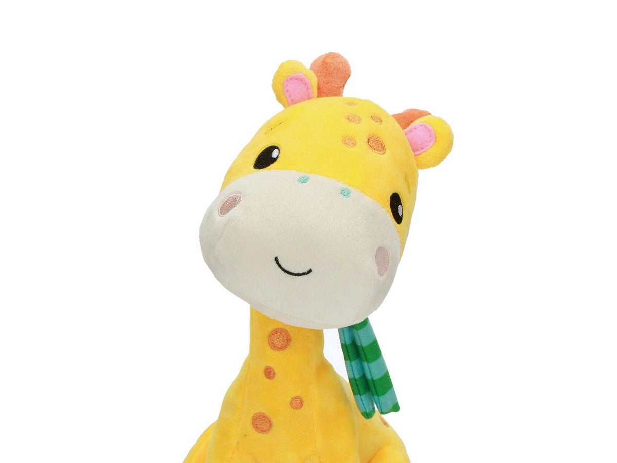 V14H4B5481EF6539B7EB7C5BE8D0F4242607R7065739P1