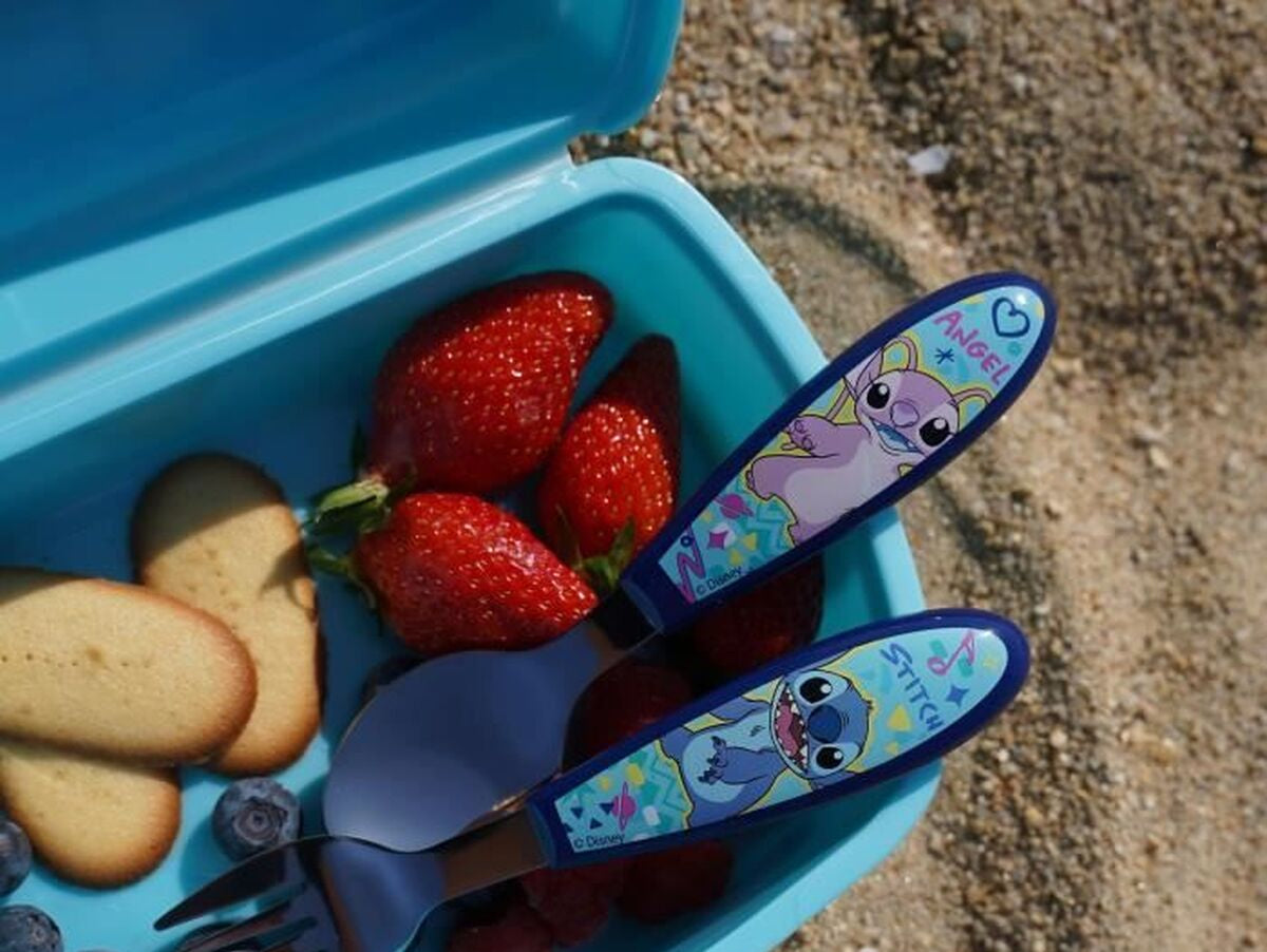 V4H943656EEC3238803DA7CD20A63993F3FR7380394P6