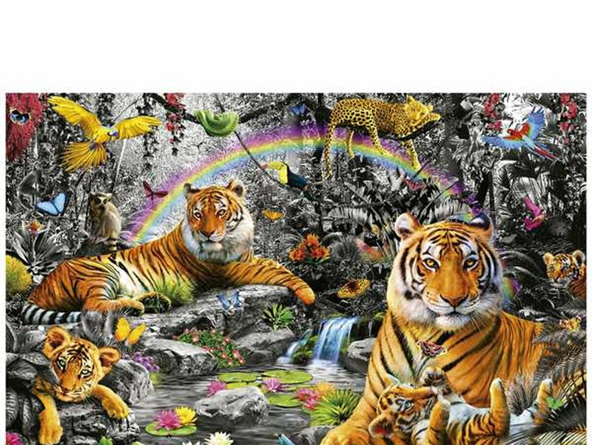 V8HAAB4120D3977C193E66BBEED71643215R4143168P10