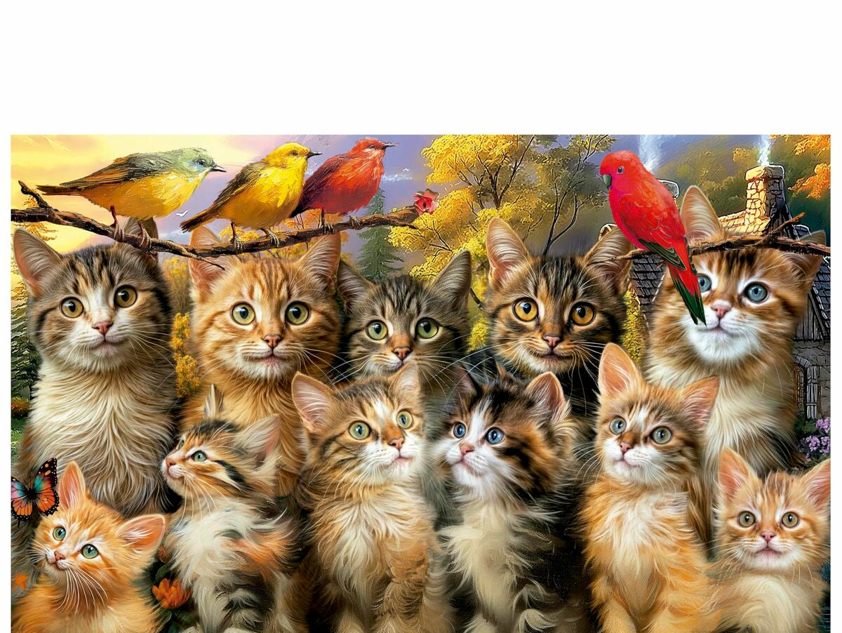 V4H1C9A52B1AD66A6DB026B6818B3222975R7090871P5