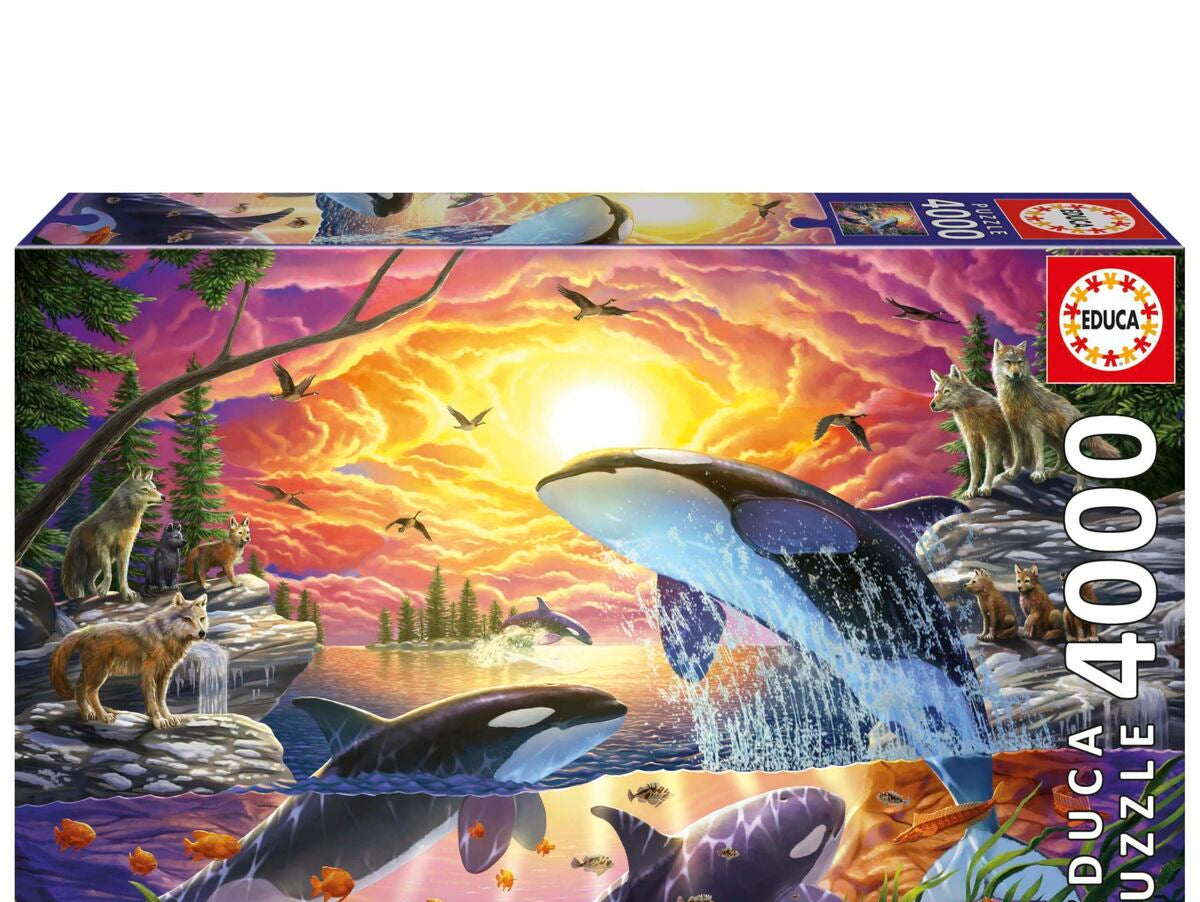 V4H9C0C9537FF6040BB69CBD831FC709C88R7090919P1