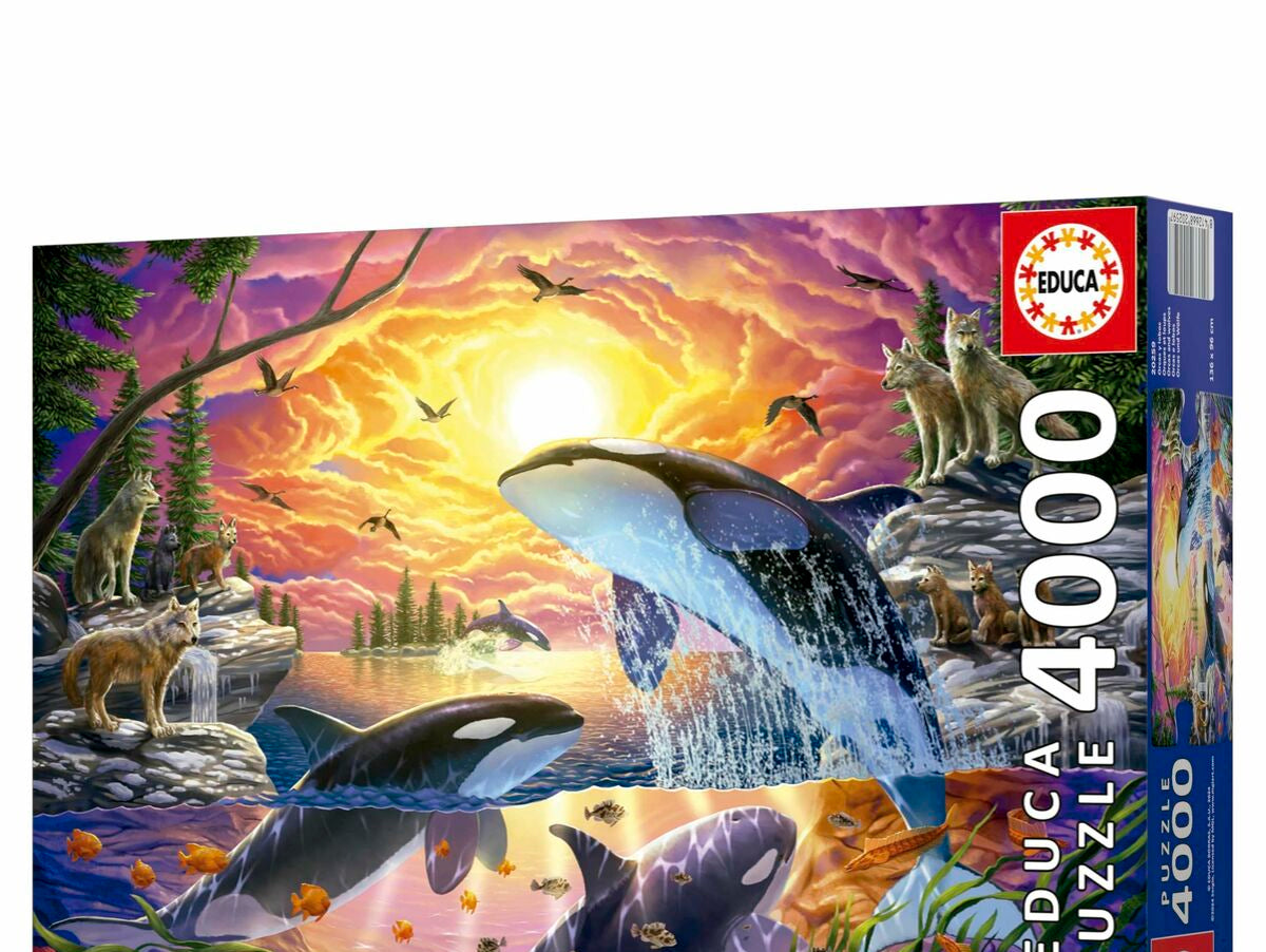 V4H316B9B92BF577FCF44CBAA8AC700AA65R7090933P6