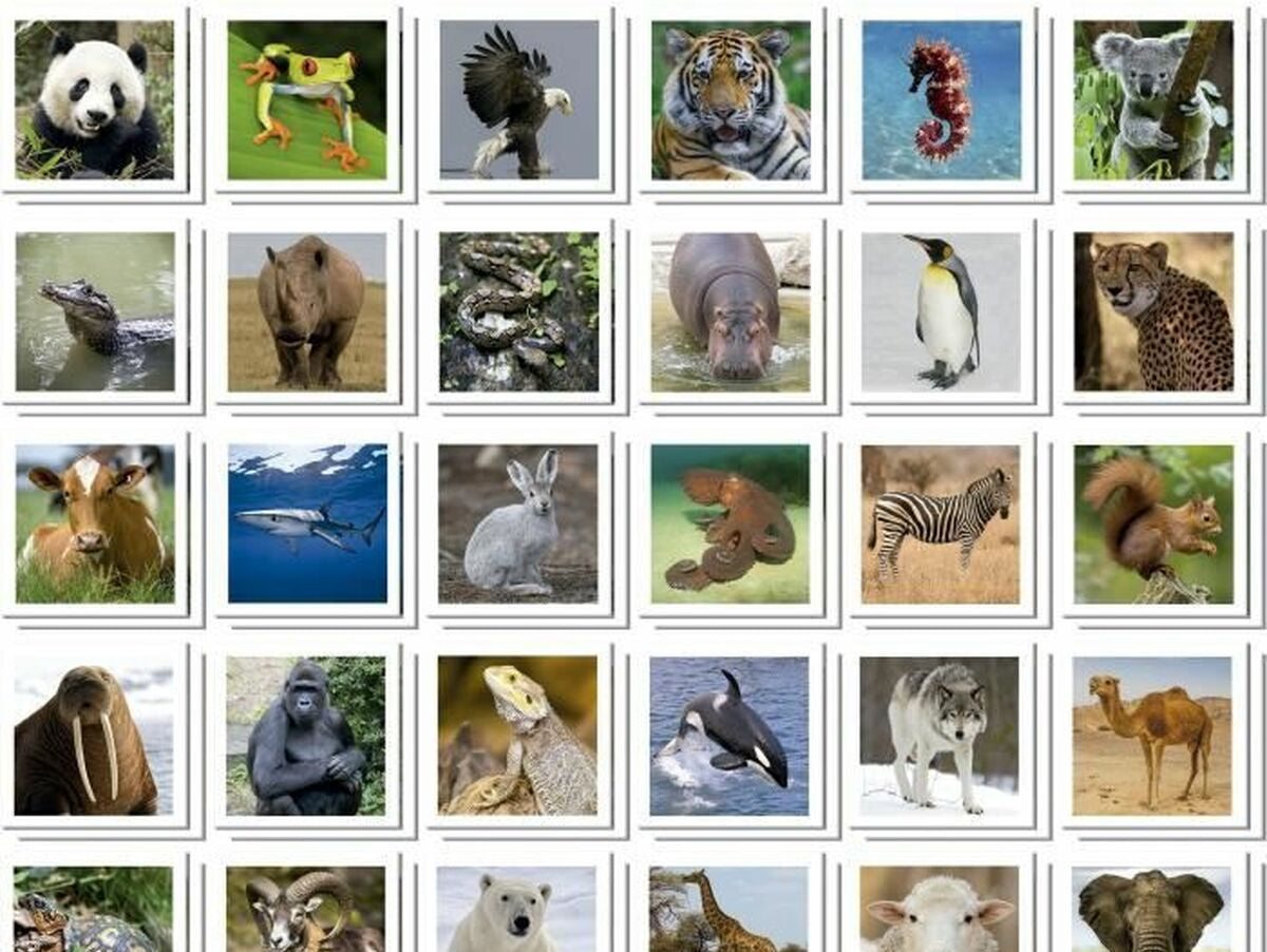 V5H1B4CF50F4D541D88CDD7016FFF0014C3R7131627P2