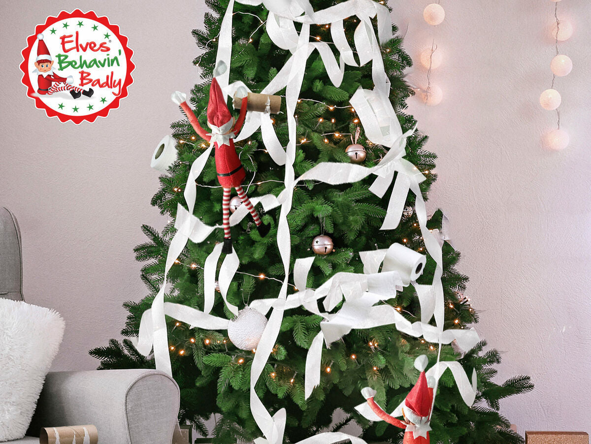 V5H6D60025035376D926258EB673EEF9A4BR7391246P5