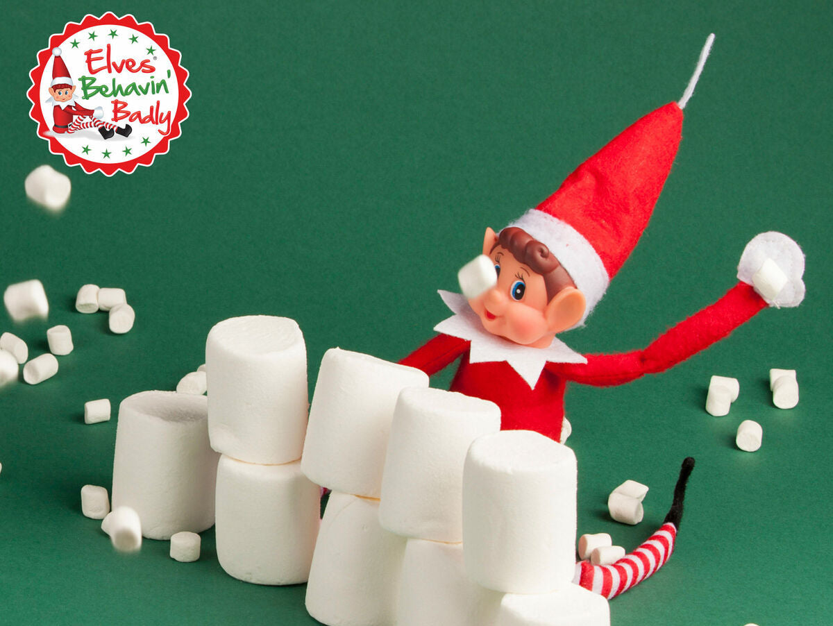 V5H1C655DA0E55621ECA6E19007D1A0371ER7391250P6