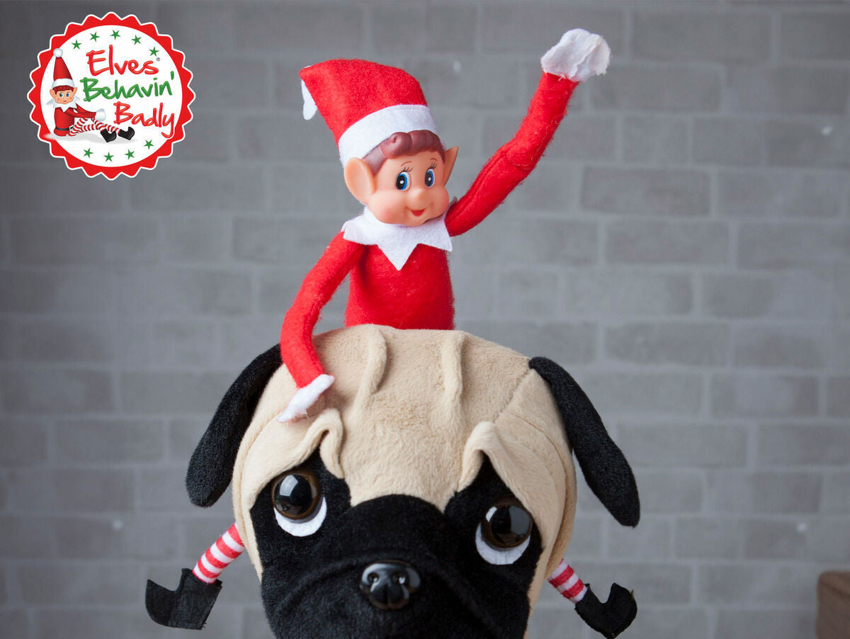 V5H9F502501F6DDFCE52EB80E8B28BB639AR7391253P8